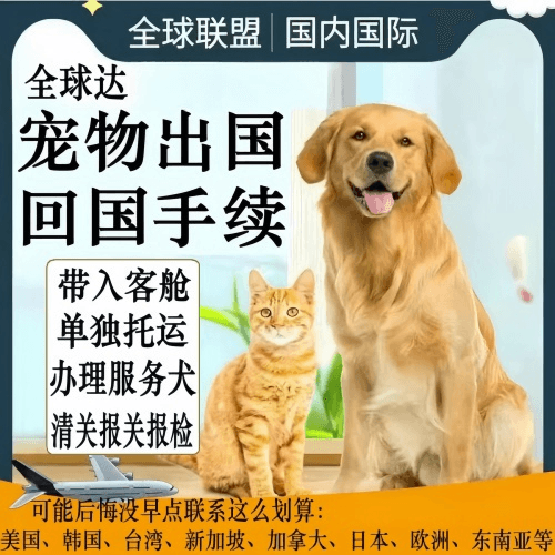 阿勒泰地区宠物托运到柬埔寨宠物入境规定和要求