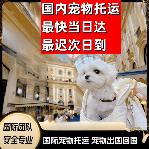 阿勒泰地区到澳大利亚（澳洲）宠物入境规定和要求